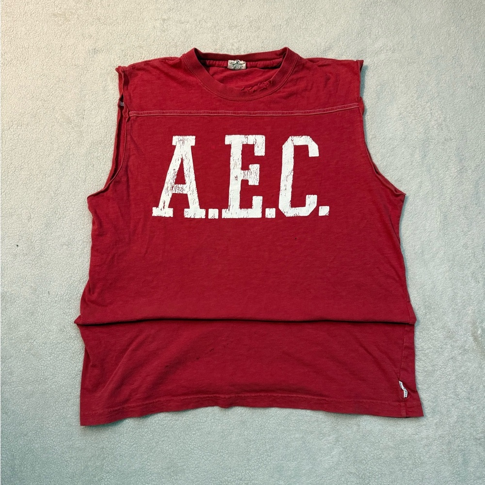 American Eagle Outfitters Red Crewneck Graphic Tee